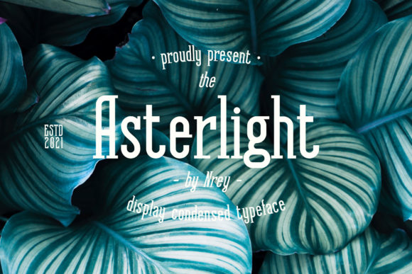 Asterlight Font: A Bold Choice for Professional Branding