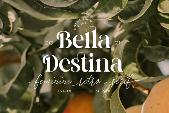 Bella Destina: A Bold Serif Typeface for Editorial Excellence