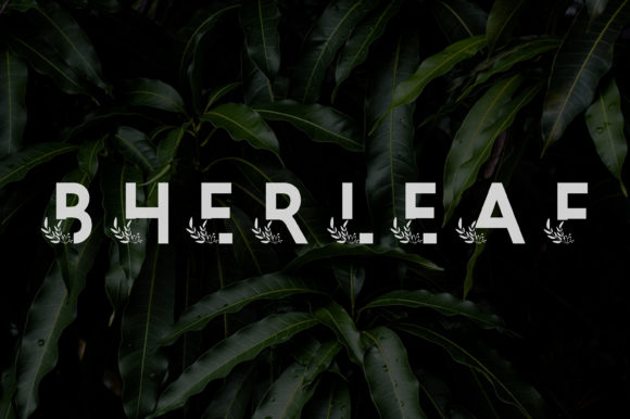 Bherleaf Font: A Delightful Typeface for Business Branding