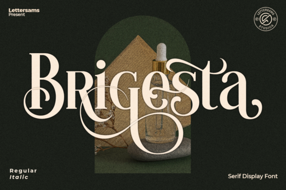 Brigesta Font: Elevating Campaign Clarity with a Bold Serif Typeface