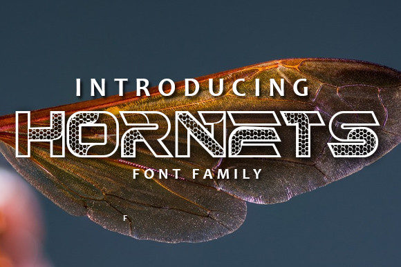 Hornets Font: A Bold Display Typeface for Impactful Campaigns