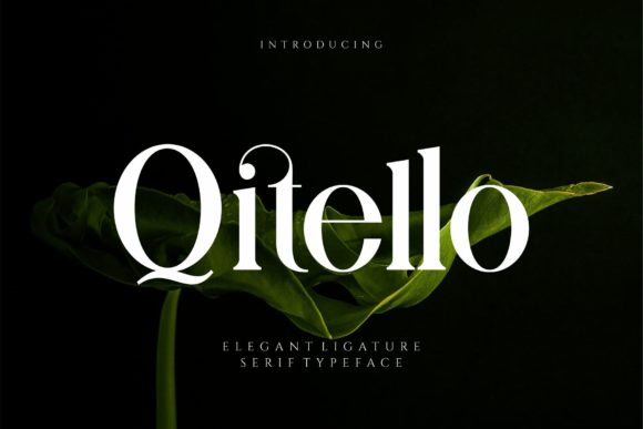 Qitello Font: A Bold Serif for Crafting with Confidence