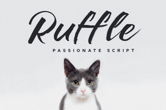 Ruffle Font: A Bold Handwritten Typeface for Editorial Design