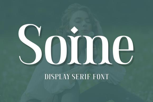 Why I Chose Soine for My Next Web Project